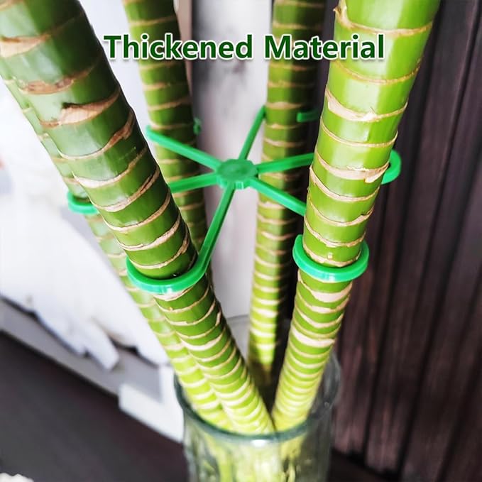 8PCS Climbing Plant Stem Supports 4 Sizes, Reusable Plastic Stakes Indoor/Outdoor Garden Flower Growth Accessories Stem Holder for Thriving Plant Growth