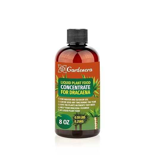 Gardenera Plant Growth Superfood for Dracaena with 18 Essential Vitamins & Minerals - Organic Plant Food Fertilizer - Micro-Fungi and Bio-Organisms for Dracaena Plant Care & Growth Enhancement - 8oz