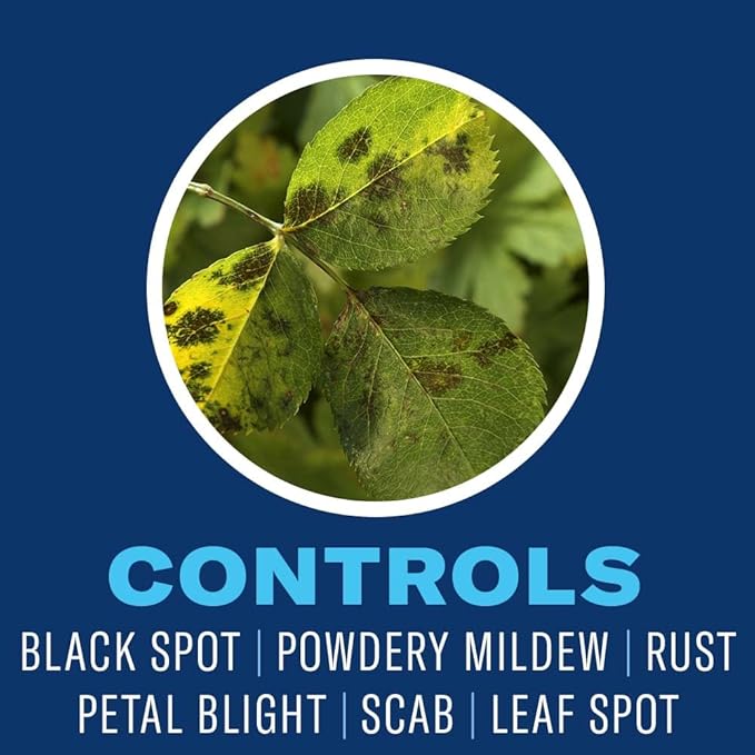 BioAdvanced All-In-One Rose and Flower Plant Bug Spray, 32 oz, Pest Control Spray with Hose Adaptor
