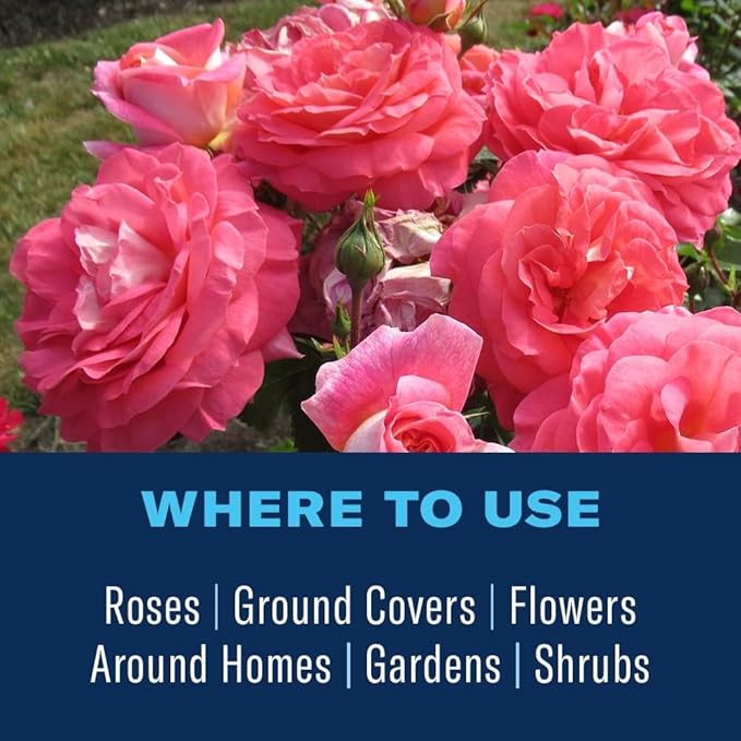 BioAdvanced Rose and Flower Insect Killer, Ready-to-Use, 24 oz, Plant Bug Spray