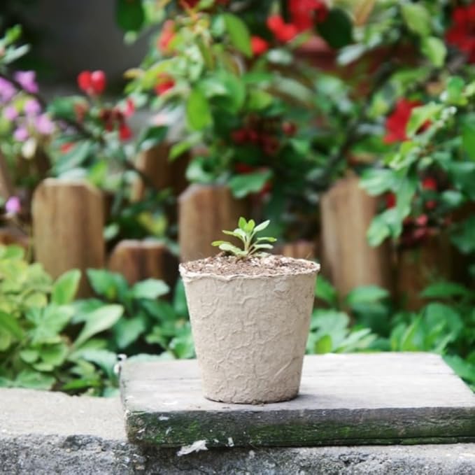 GardEasy 120PCS 3.15 Inch Peat Pots for Seedling, Outdoor Garden Germination Nursery Peat Pots Plants with Bonus 20 Plant Labels