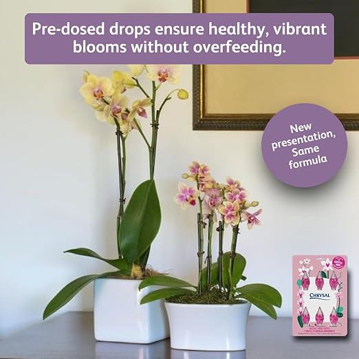 Chrysal Orchid Grooming & Feeding Set — 1 Year Supply of Orchid Food Drops, Leaf Shine (4.15 oz) & Precision Scissors — Everything Needed for Healthy Blooms & Foliage