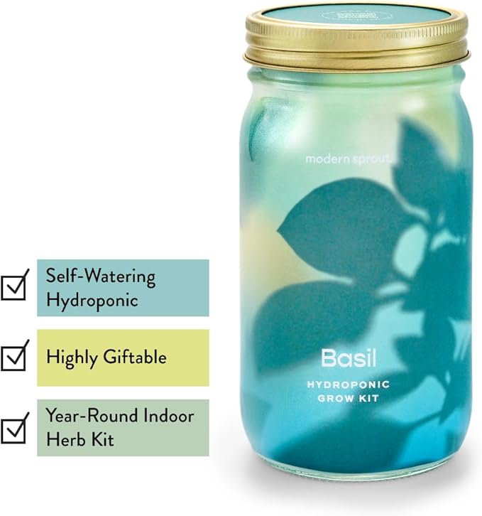 Modern Sprout Mason Garden Jar - Self-Watering Hydroponics Growing System Kit w/Organic Herb Seeds - Sprouting Jar Planter for Indoor Herb Garden - Seed Starter Kit - Decor & Gifting - Basil+Parsley
