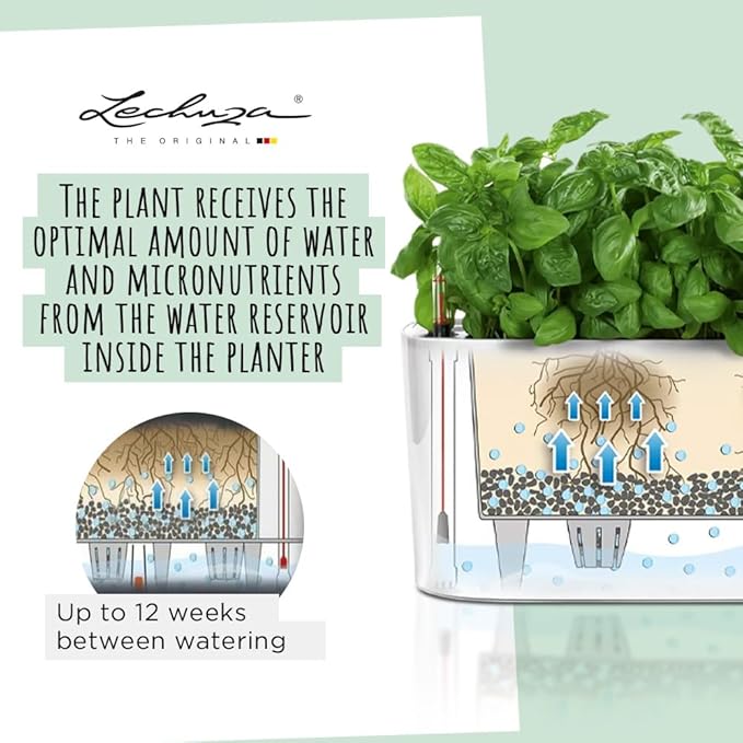 Lechuza Delta 10 Charcoal Metallic, Self-Watering Planter Indoor, H5.1 L11.8 W4.3 in