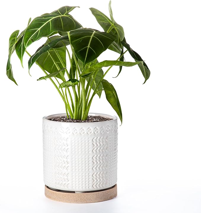 Indoor-Outdoor Ceramic Plant Pots: 8 Inch Flower Pots with Drainage Hole & Saucer - Decorative Ceramic Pots for Plants Herbs Succulents - Home Garden Patio Lawn Use