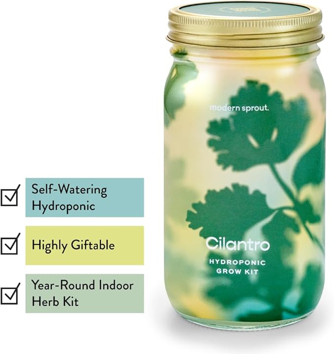Modern Sprout Mason Garden Jar - Self-Watering Hydroponics Growing System Kit w/Organic Herb Seeds - Sprouting Jar Planter for Indoor Herb Garden - Seed Starter Kit - Decor & Gifting - Basil+Cilantro