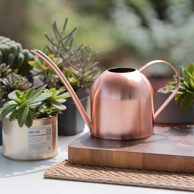 Small Watering Can Indoor Plants Metal Watering Cans 15oz Capacity Cute Design for House Plants & Gardens (Rose Gold 15 oz)