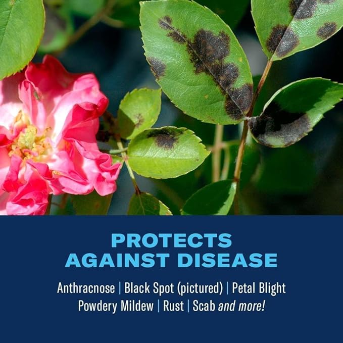 BioAdvanced 3-in-1 Insect, Disease, and Plant Mite Control - Insecticide, Fungicide & Miticide - Ready-to-Spray- Prevents Pests and Diseases - Up to 30 Days Protection - 32 fl oz Bottle