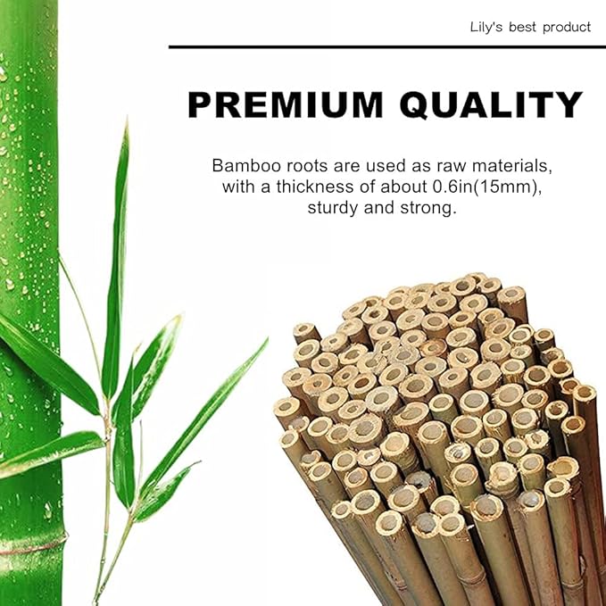 HOPELF 50 Pack 2ft Bamboo Plant Stakes for Wood Garden Sticks，Wooden Plant Supports，Bamboos，Bamboo Trellis，Crafts, More Size Choices 8"/12"/16"//2'/3'/4'/5'/6'