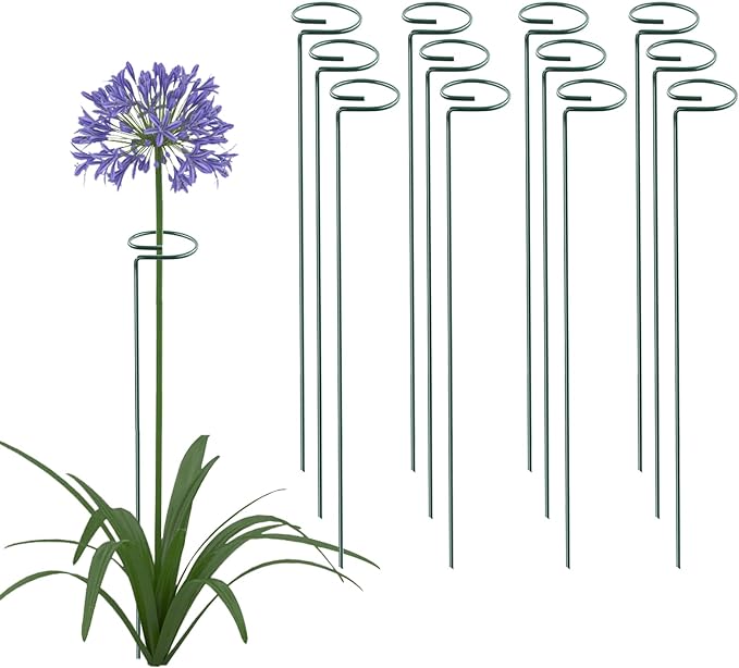 Thealyn 24 Inch 12 Packs Plant Support Stakes,Garden Single stemmed Plant Support Hoops, Plant Prop, for Flowers,Orchid, Tomatoes Peony Lily Rose (24 inch)