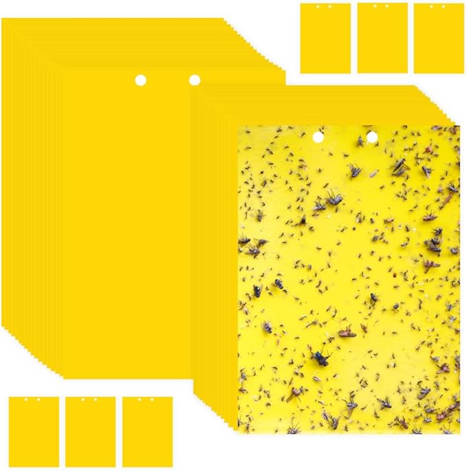 Fruit Fly Trap, 40pcs Yellow Sticky Traps for Plant Gnats, Two-Sided Insect Control, Fruit Fly Killer Indoor and Outdoor Protect The Plant