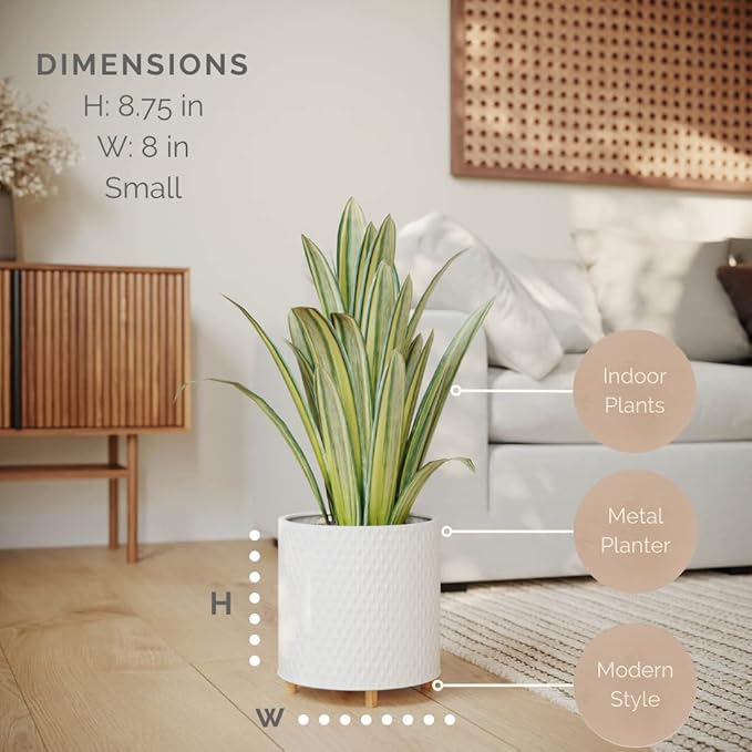 EverNest Claire Modern Indoor Plant Pot with Wooden Stand, White Pattern, 8 Inch, SelectBase, Neutral Mid-Century Modern Style, Metal Home Decor Planter (Small, 1 Gallon)