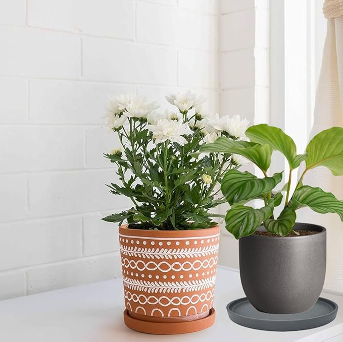 Yukfona Ceramic Plant Saucer Pot Tray 12 Inch, Planter Saucers 4 5 6 7 8 9 10 11 12 13 Inch for Indoors Outdoor, Durable Sturdy Flower Drainage drip Water Tray for Glazed Pots Base (12.7 Inch-Grey)