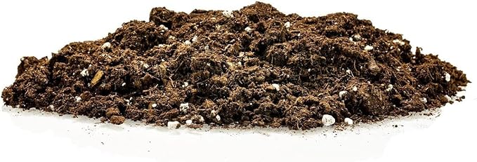 GARDENERA Premium Dracaena Potting Soil Mix - (5 Quart Bag)