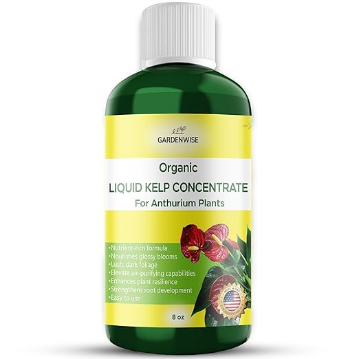 GARDENWISE Organic Premium Seaweed Anthurium Fertilizer - Liquid Kelp Plant Food - Nutrient-Rich Soil Enhancer (8 OZ)