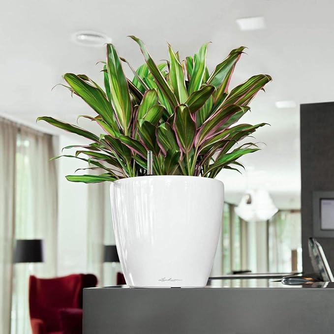 Lechuza Classico LS 28 Cream White High Gloss, Self-Watering Round Planter, D11 H10.2 in