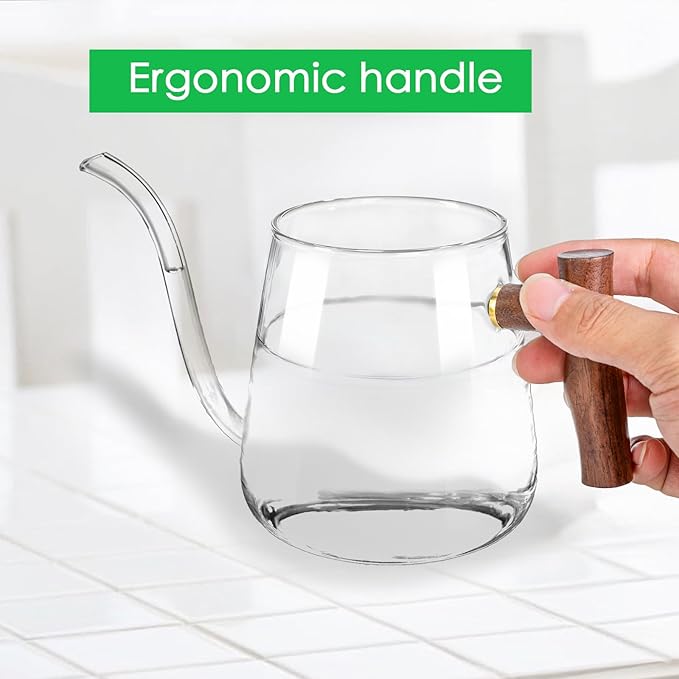 FrutPunch Watering Can Indoor Plants, 27 OZ Glass Watering Can, Long Curved Spout, Suitable for Indoor Plants, Bonsai Garden Flower Decoration