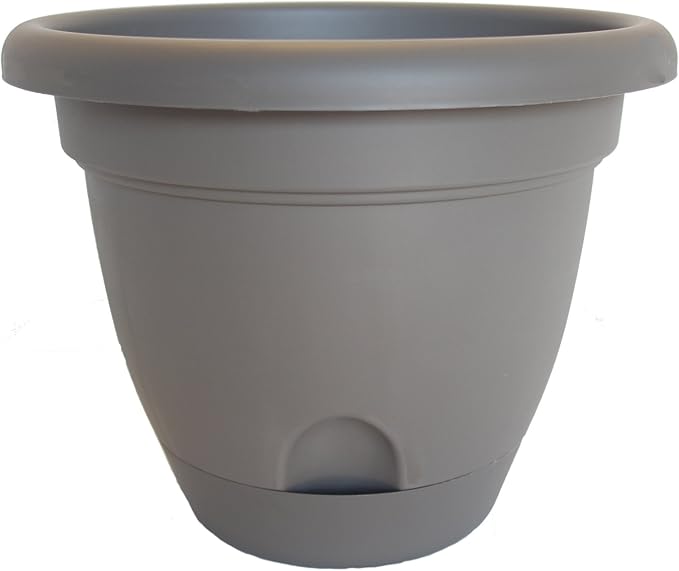 Bloem Living LP0860 Lucca Self-Watering Planter, 8-Inch, Peppercorn