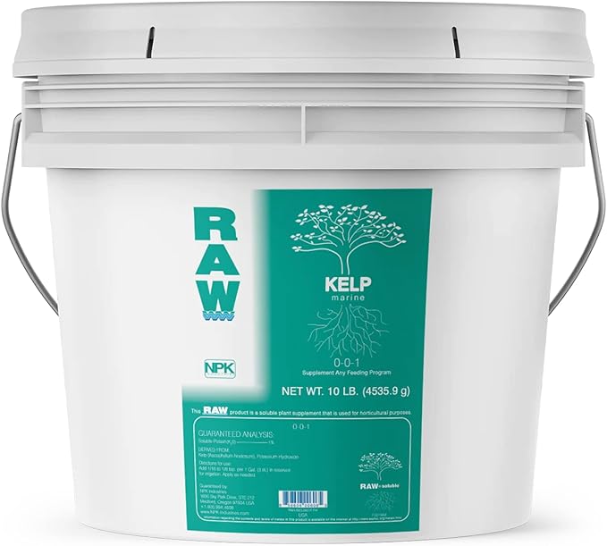 RAW Kelp – Premium Ocean-Derived Kelp Extract