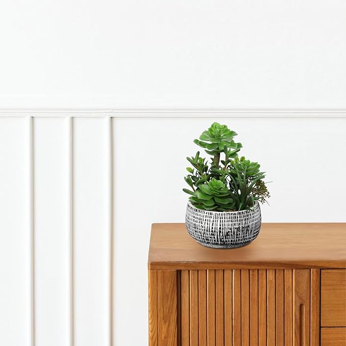 Villa Como 10” Large Succulents Plants Artificial in Ceramic Pots Potted Faux Succulent Arrangement with Black Bowl Pots Fake Desk Succulents Plants for Home Bathroom Shelf Table Indoor Decor