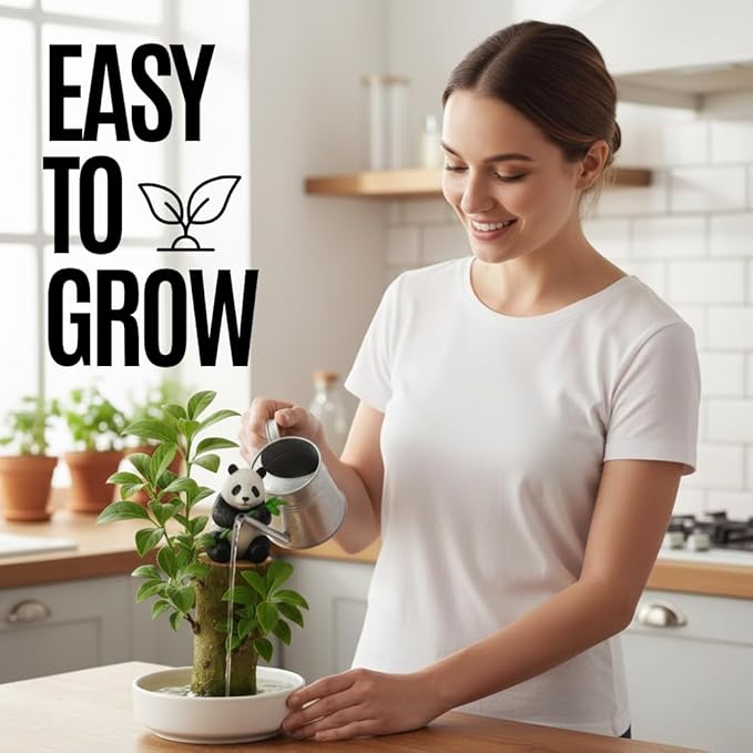 Lucky Money Desktop Tree with Water Tray and Panda Figurine - Living Valentine's Gift Lucky Willow Wood - Desk, Counter Top or Window - Brings Luck and Joy to Your Office or Home