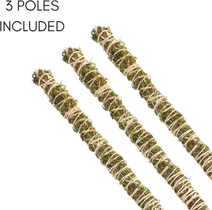 Mossify 16" Thin Bendable Moss Poles – 3-Pack | Flexible Plant Support Stakes for Climbing Plants, Vines, Monstera & Pothos | Natural Coconut Fiber Moss Stick for Indoor & Outdoor Use