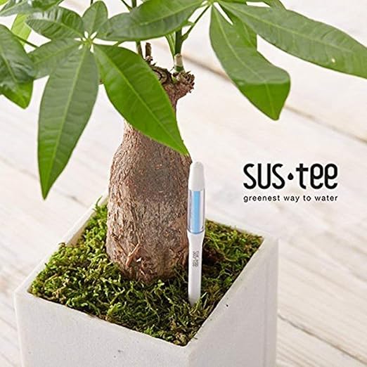 IPPINKA Sustee Aquameter, Set of 4, Plant Soil Moisture Sensor, (White, Medium)