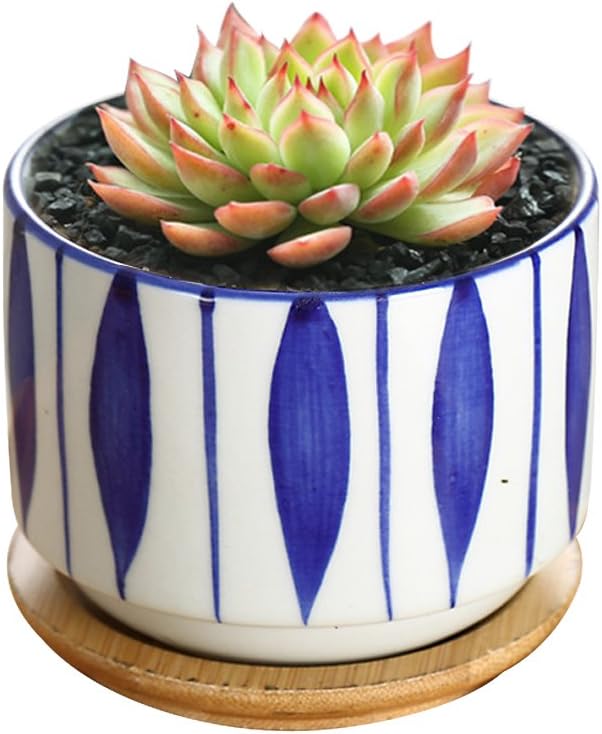 GeLive 3 Inch Ceramic Succulent Planter, Cactus Plant Pot, Flower Container with Bamboo Drip Tray, Indoor Outdoor, Set of 2 (Wave and Blue Flower)