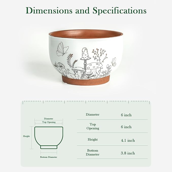 Terracotta Succulent Pots, 6 Inch Plant Pot for Plants with Drainage Hole, Ceramic Planter Mushroom Pattern, Round Flower Pots for Indoor Outdoor Herb Orchid Snake Plants - 1 Pack