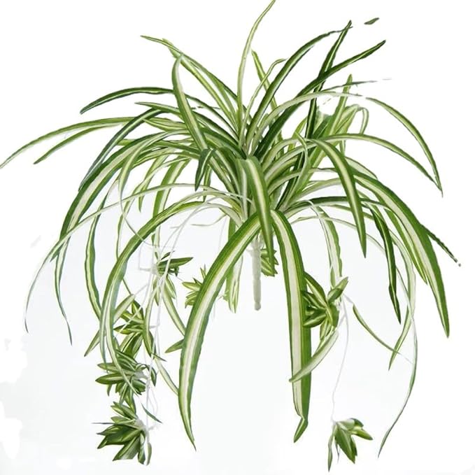 3 Packs Artificial Spider Plant, Silk Faux Chlorophytum Comosum Fake Spider Hanging Plant Decor for Outdoor Indoor Home Garden Office Decoration