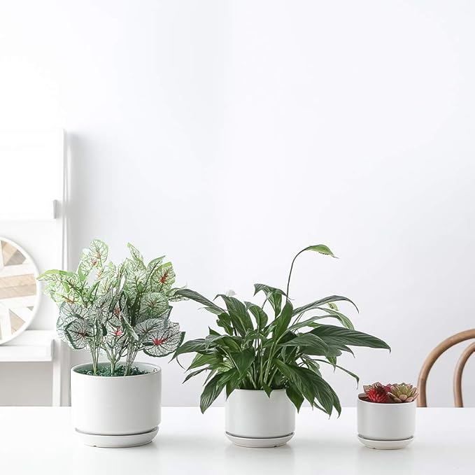 Yishang Succulent Plant Pots,6.7+5.3+4.1 in Glazed Ceramic Planters with Connected Saucers, Round Modern Ceramic Flower pots - Small to Large Sized Plant pots for All House Plants(Matte White)