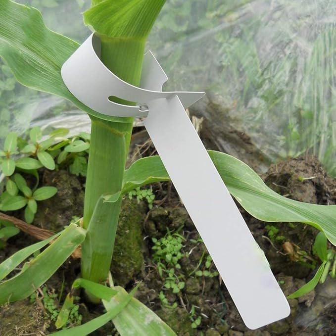Kecoya 200 PCS White Plastic Plant Tree Tags and Labels Waterproof, Adjustable, Wrap Around, Reusable, Indoor/Outdoor, Garden, Nursery, Greenhouse, Balcony, Plant Labels