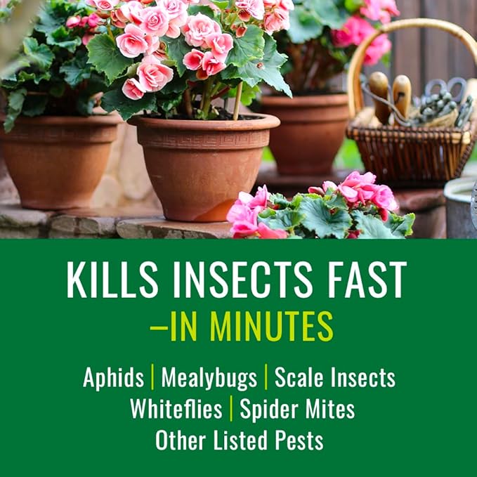Natria Houseplant Insect Killer, Ready-to-Use, 24 oz