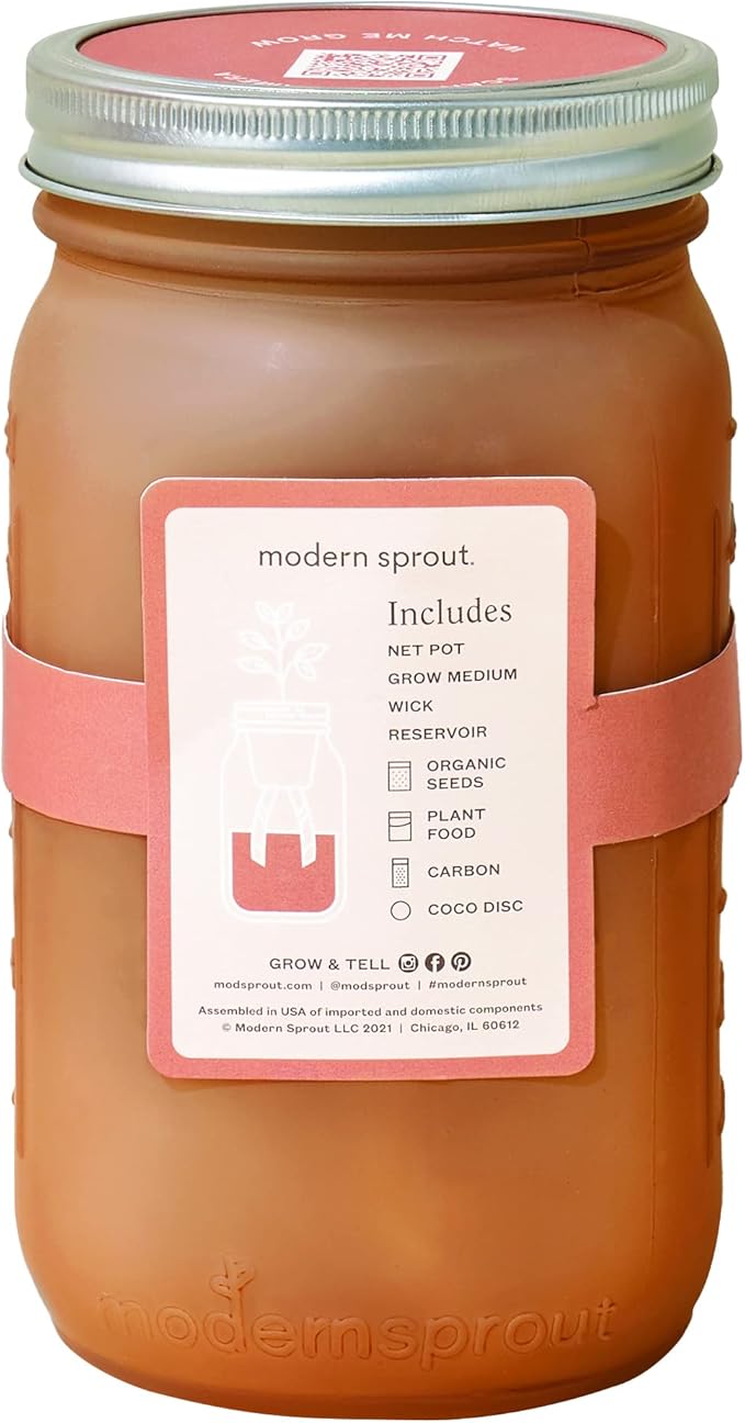 Modern Sprout Glass Jar Grow Set, Indoor Herb Garden, Seed Starter Set, Organic, Non-GMO, Parsley