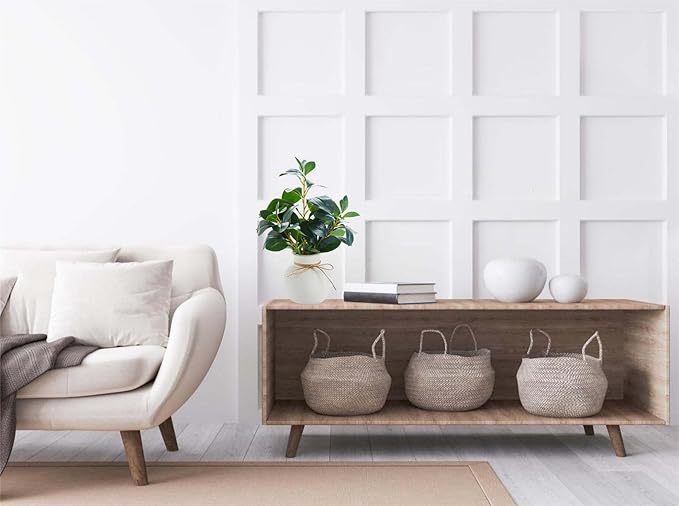 16.5'' Artificial Ficus Branch Arrangement, Real Looking Faux Plant with Glossy Green Oval Leaves, White Ceramic Vase with Rope Accent and Pebbles for Table Entryway Indoor Decor