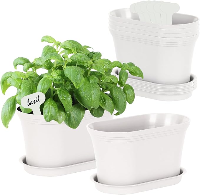 Oliz Windowsill Garden Pots, White Plastic Flower Pots with Drainage Tray for Herb, Succulents, African Violet (Pack of 6)