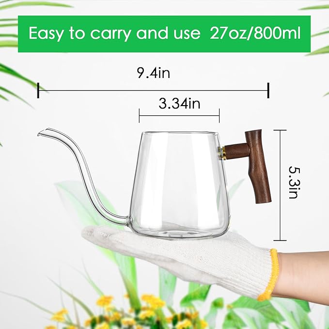 FrutPunch Watering Can Indoor Plants, 27 OZ Glass Watering Can, Long Curved Spout, Suitable for Indoor Plants, Bonsai Garden Flower Decoration