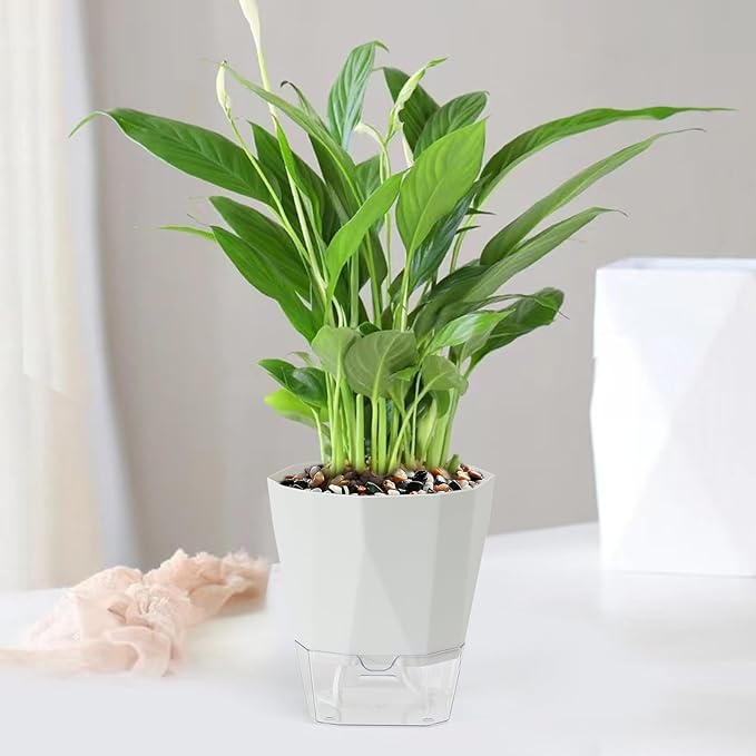 6-Pack Self Watering Planter Pots, 5 Inch Plastic Planters with Drainage Holes, Cotton Rope and Trays, Decorative Flower Pots for Indoor Outdoor Garden Plants (Multicolor)