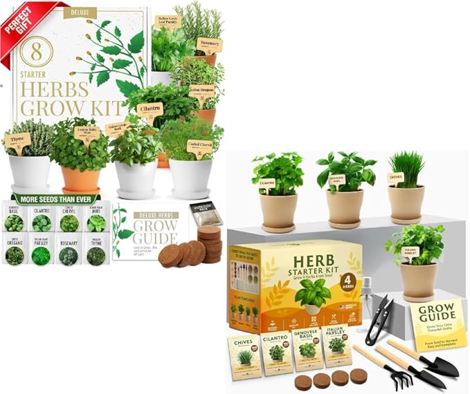 HOME GROWN Gift Herb Kit – 8 Herb Seeds Set with Basil, Cilantro, Mint & More & Herb Garden Planter Indoor Kit – Unique Christmas Gift for Adults, Men, & Women - Grow 4 Heirloom Herb Seeds