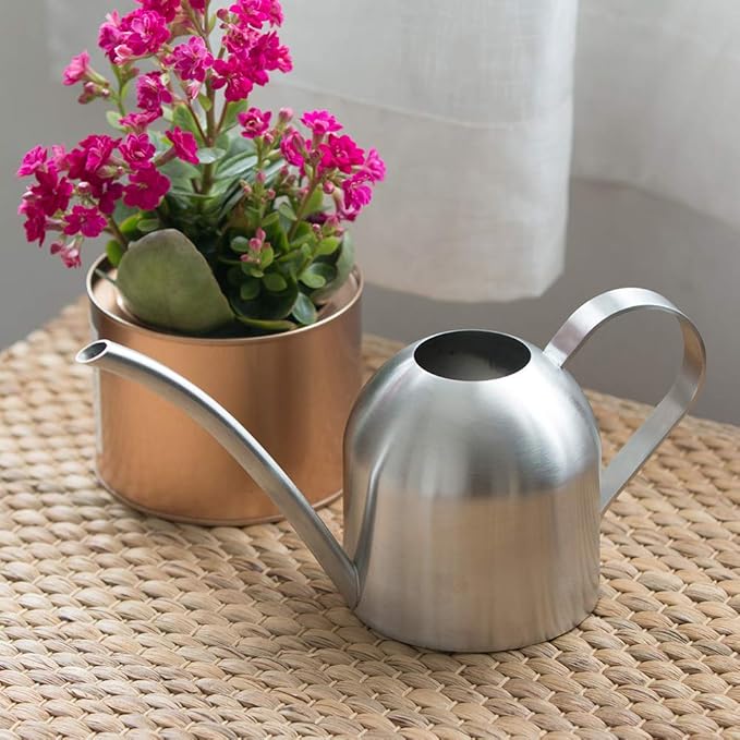Stainless Steel Water Can for Indoor Plants and Garden (30 oz)