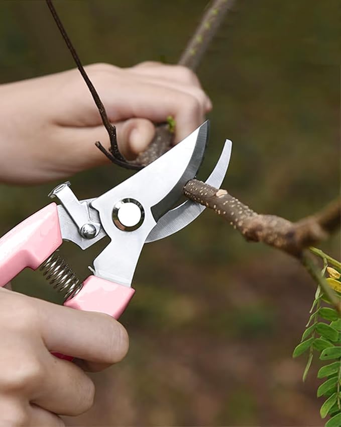 Garden Scissor for Plant, 4 Pcs Floral Scissors, Tip Pruning Shears Bulk for Cutting Flowers, Bonsai, Fruits and Trimming Plants(Pink)