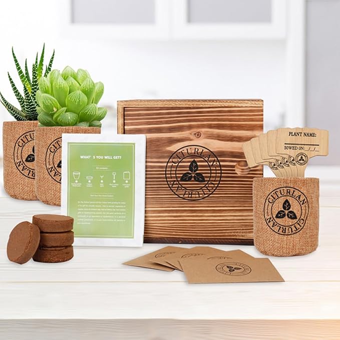 Herb Garden Starter Kit Herb Seed Growing Kit Herb Garden Starter Kit DIY Grow Indoor Garden Set Gift for Home Plant Starters Balcony