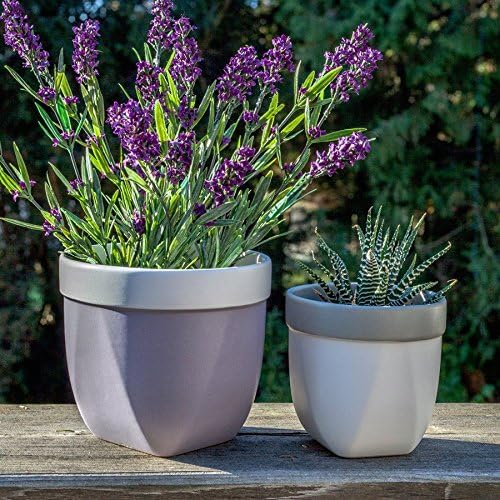Hosley Grower Versa Pot Planter, 5 Inch - Perfect for Home Decor, Kitchen Decor & Planters for Outdoor Plants, Ideal for Office, Weddings, Floral Arrangements & Spa Settings