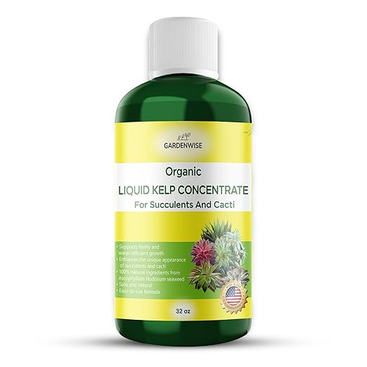 GARDENWISE Organic Kelp Seaweed Fertilizer: Premium Succulent and Cactus Food - Indoor Plant Nutrition with Root Booster, Ideal for Christmas Cactus, Dragon Fruit, and Potted Plants (32 OZ)