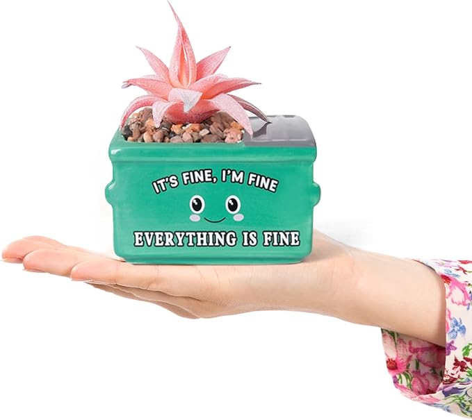 Dumpster Fire Fake Plants in Ceramic Succulent Pots Desk Decor, Emotional Support Positive Thinking Office Desk Accessories, Motivational Gifts for Women, Men, Coworkers