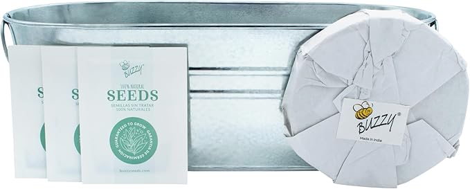 BUZZY Seeds 2-Pack Windowsill Grow Kits, Strawberry and Organic Herb Gardening Set with Basil, Cilantro, Chives, Non-GMO Seeds, Growing Medium and Planters, Housewarming Gift Idea
