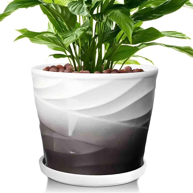 8 Inch Plant Pot,Ceramic Planter with Drainage and Saucer,Ceramic Pots for Plants,Indoor Plant pots,Ceramic Flower pots(Dark Gray+White)
