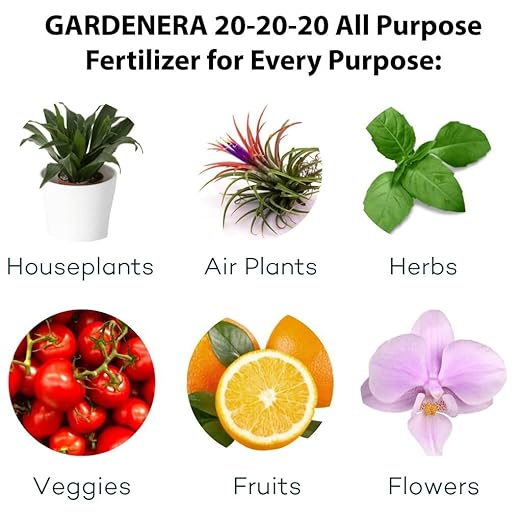 𝐁𝐄𝐒𝐓𝐒𝐄𝐋𝐋𝐄𝐑 20-20-20 Water-Soluble Fertilizer – Powder for Liquid Plant Food for Indoor & Outdoor Plants, Orchids, Vegetables, Lawns, Flowers – 20 20 20 Fertilizer - 2 Quarts