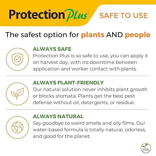 Environmental Plant Management Protection Plus Concentrate | Oil-Free Contact Insecticide for Plants | Kills Aphids, Whiteflies, Spider Mites & Other Soft-Bodied Pests | Natural | Indoor & Outdoor Use