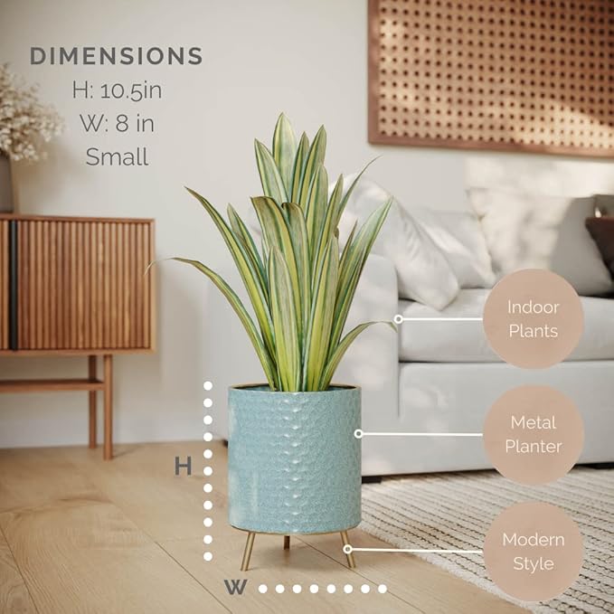 EverNest Mid-Century Modern Rhys Honeycomb Embossed Planter Pot with Nyra Gold Stand, Metal Indoor Plant Pots, Blue Green Bohemian Style (Small 1 Gallon)